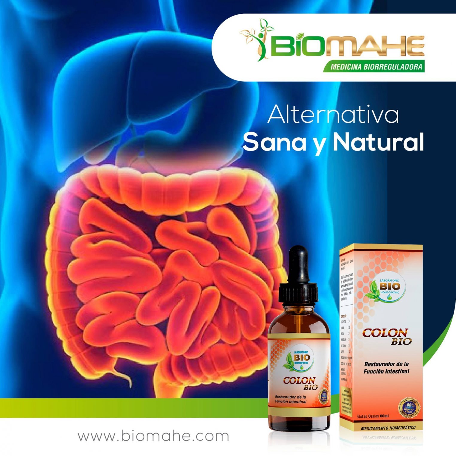 Biomahe 6